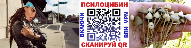 Галлюциногенные грибы Psilocybe  Себеж 